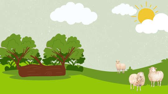 How Oklahoma Property Taxes Are Calculated and Who/What Really Owns Your Property