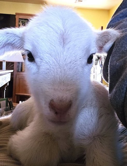 Dumping Human Waste On Farmland Must Be Stopped