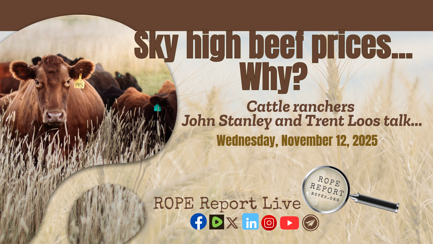Sky High Beef Prices? Why?