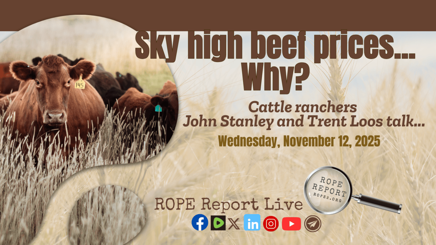 Sky High Beef Prices? Why?